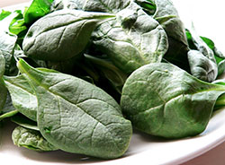 Fresh spinach